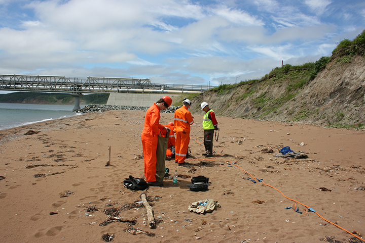 Проведение полевых работ